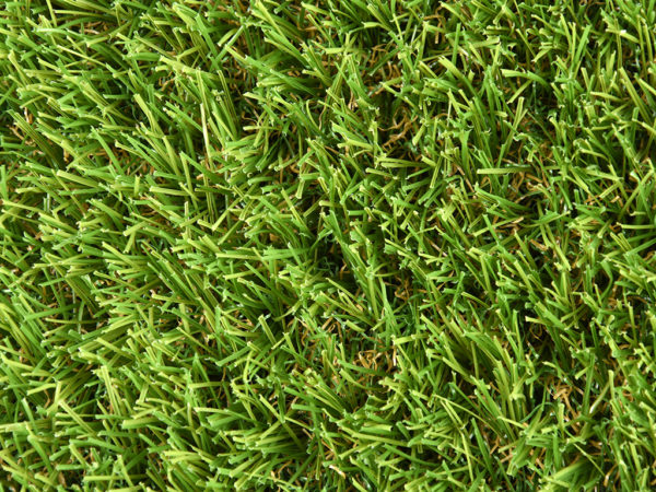 OASIS - Imagen 8