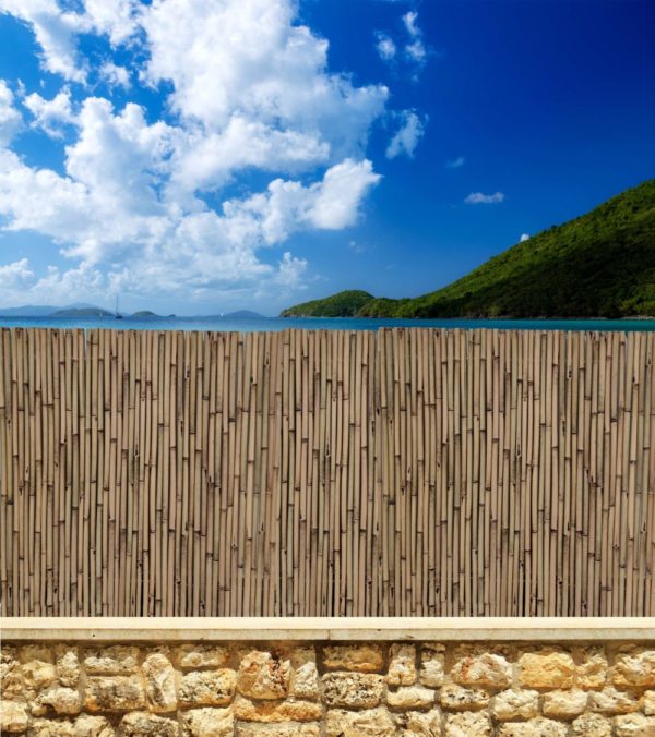 BAMBÚ BARNIZADO