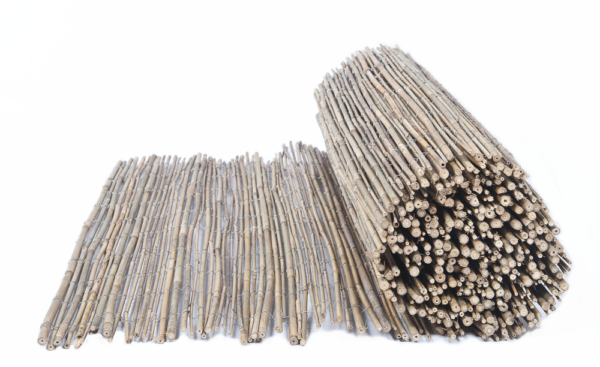 BAMBÚ ENTERO IMPORTACIÓN - Imagen 2