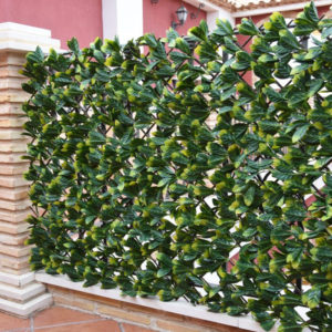 CELOSÍA MIMBRE HOJA LAUREL