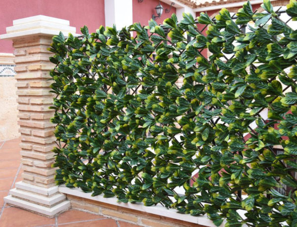 CELOSÍA MIMBRE HOJA LAUREL