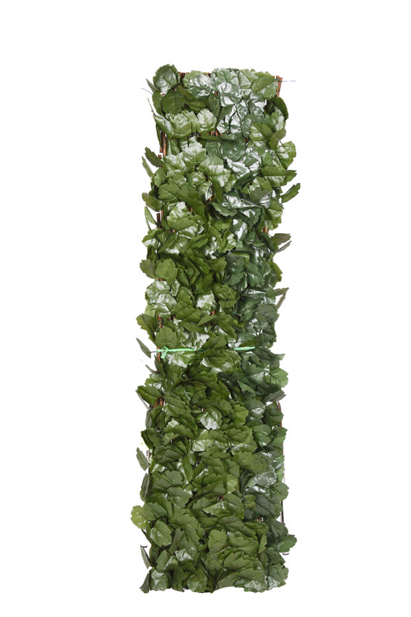 CELOSÍA MIMBRE HOJA SAUCE - Imagen 3