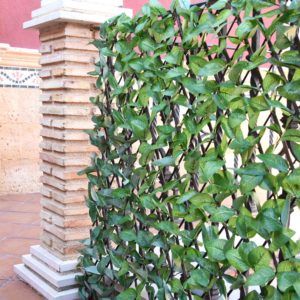 CELOSÍA MIMBRE HOJA ARCE