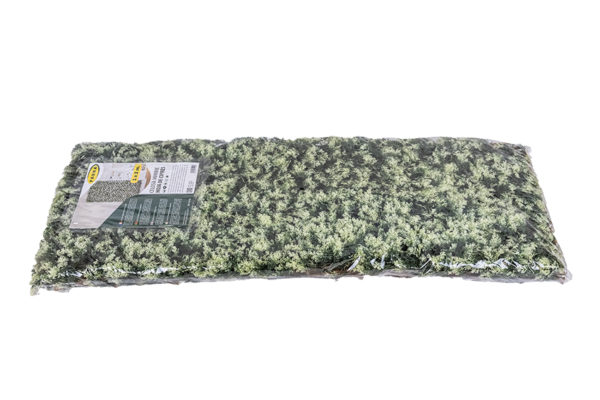 CELOSÍA MIMBRE HOJA CIPRÉS - Imagen 4