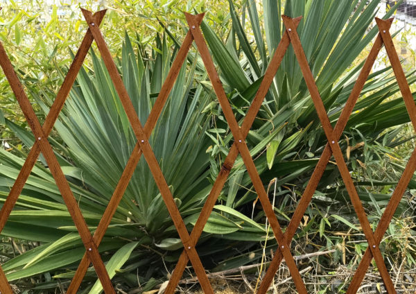 CELOSÍA MADERA TINTADA
