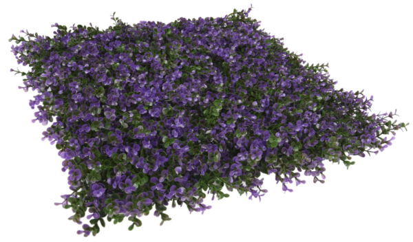 JARDÍN VERTICAL LAVANDA - Imagen 3