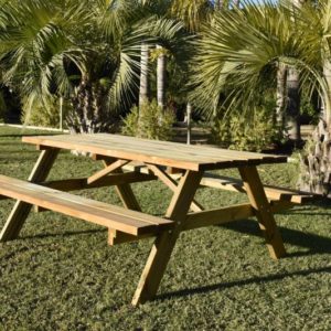 MESA PICNIC