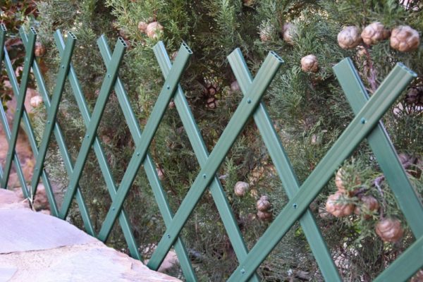CELOSÍA PVC VERDE