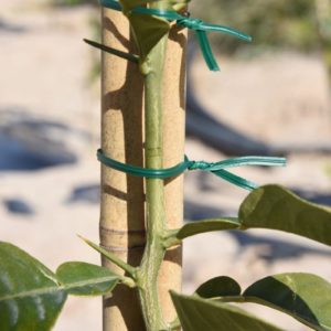 ALAMBRE PLASTIFICADO CON CORTADOR