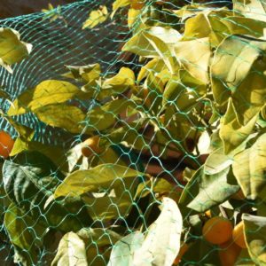 MALLA ANTIPÁJAROS VERDE