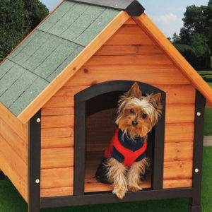 CASETA DE PERRO MADERA