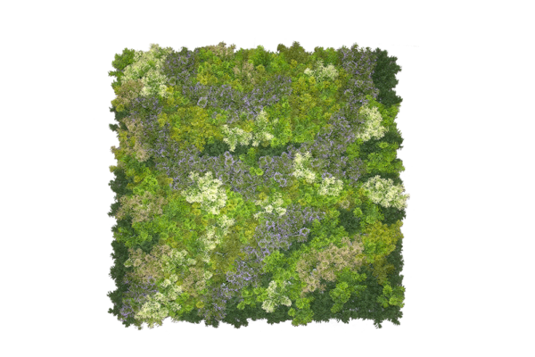 JARDÍN VERTICAL ELBA - Imagen 3