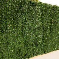 16513_16514_16515_SETO-BICOLOR-HOJA-HIEDRA-110-VARILLAS-1