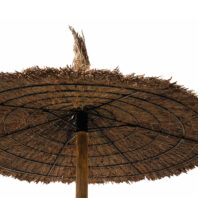 26001_26002_26003_26004_ESTRUCTURA_BREZO-2