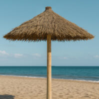 26001_26002_26003_26004_SOMBRILLA_BREZO-1