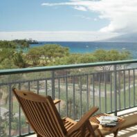 46001_46011_46101_46111_46201_46211_MALLA-PLÁSTICA-GRIS