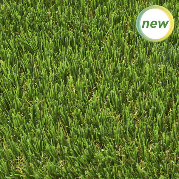 ECOGREEN 100% Reciclable - Imagen 5