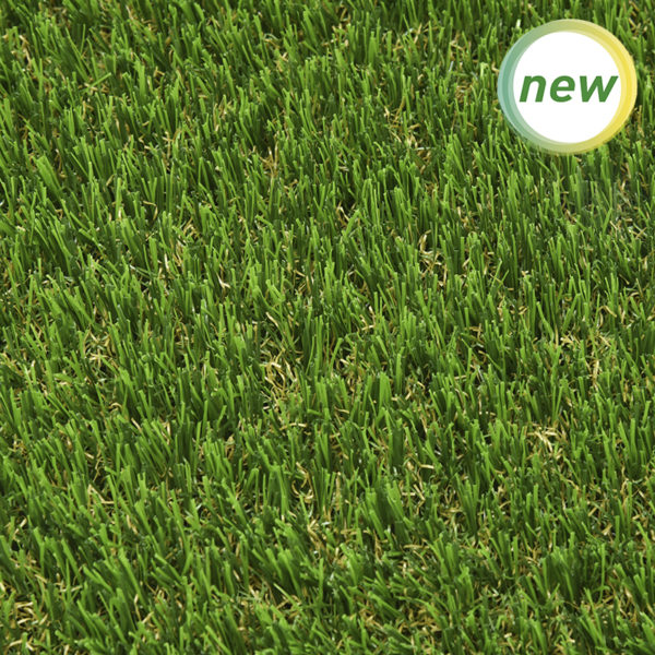 ECOGREEN 100% Reciclable - Imagen 2