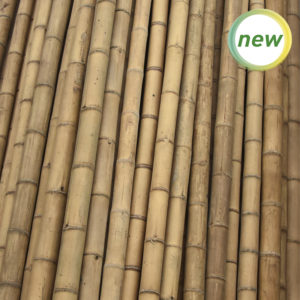 BAMBÚ DECORATIVO