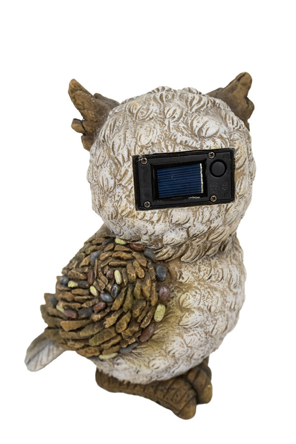 FIGURA BUHO A - Imagen 3
