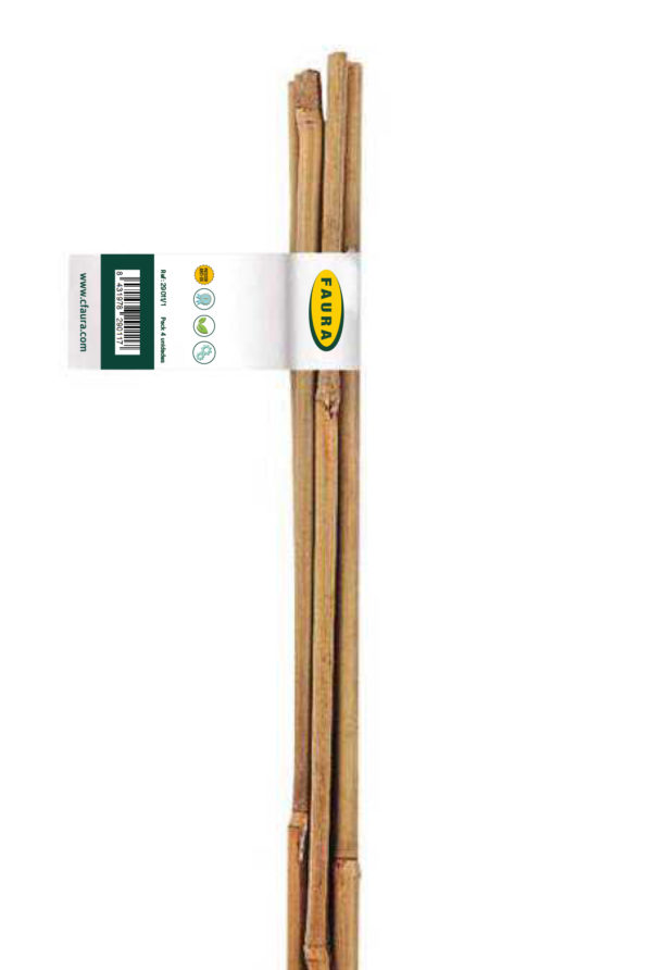 PACK TUTOR DE BAMBÚ - Imagen 2