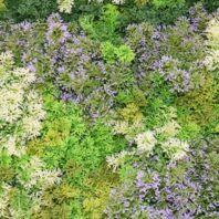 34066_JARDÍN-VERTICAL-ELBA-(2)