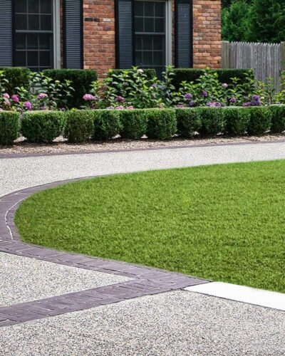 BAHAMAS-CEPED-ARTIFICIAL-CAÑIZOS-FAURA-2