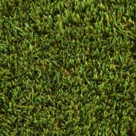 BAHAMAS-CEPED-ARTIFICIAL-CAÑIZOS-FAURA-3