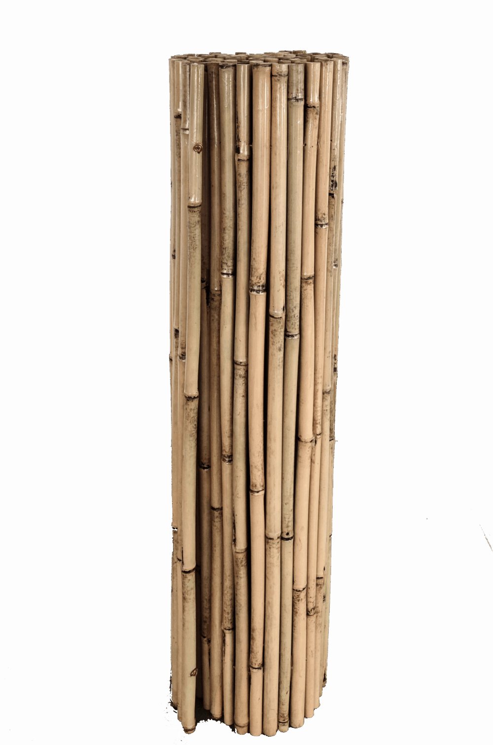 BAMBU-BARNIZADO-ROLLO.png
