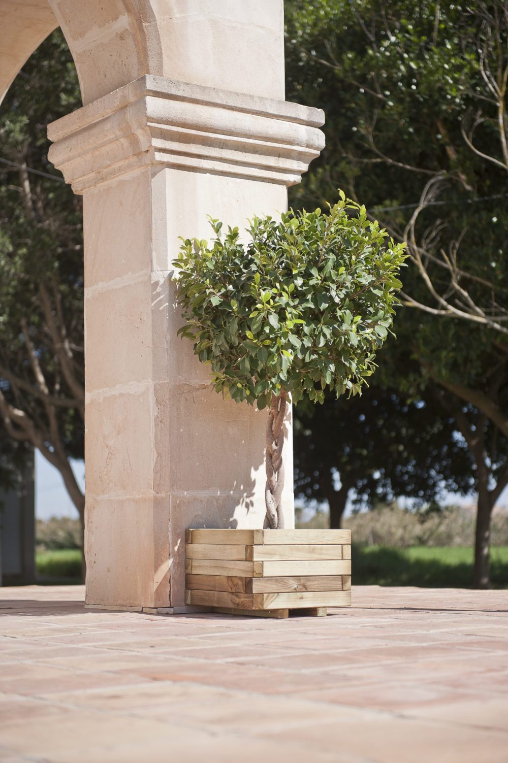 DSC8171-scaled-e1697811927603.jpg DSC8171-scaled-e1697811927603.jpg