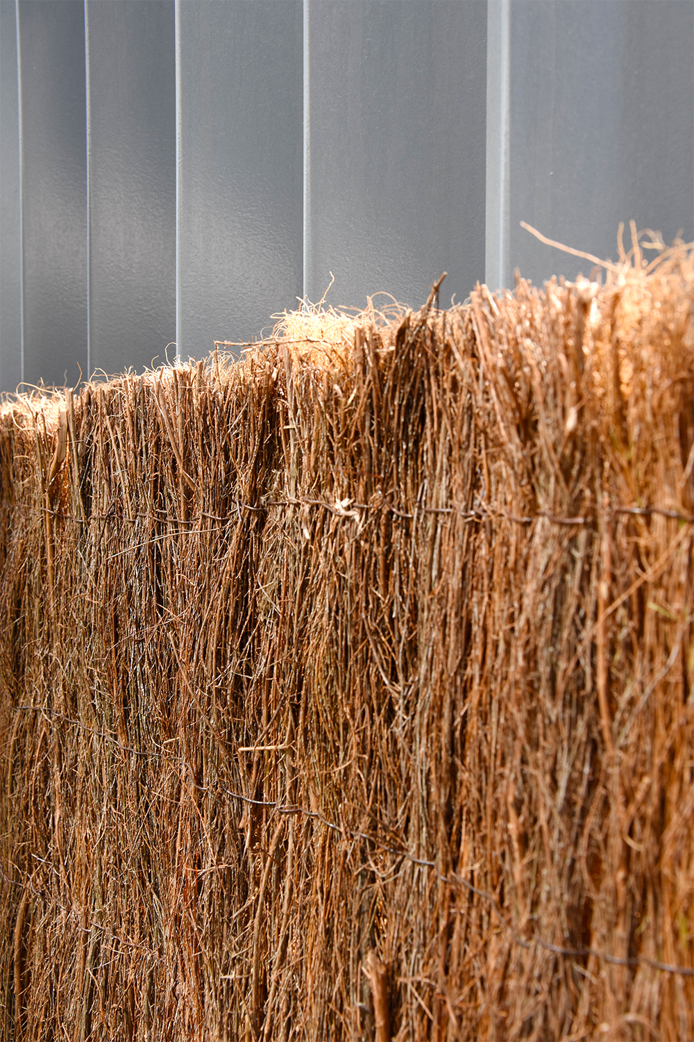 DSC_0846.jpg DSC_0846.jpg