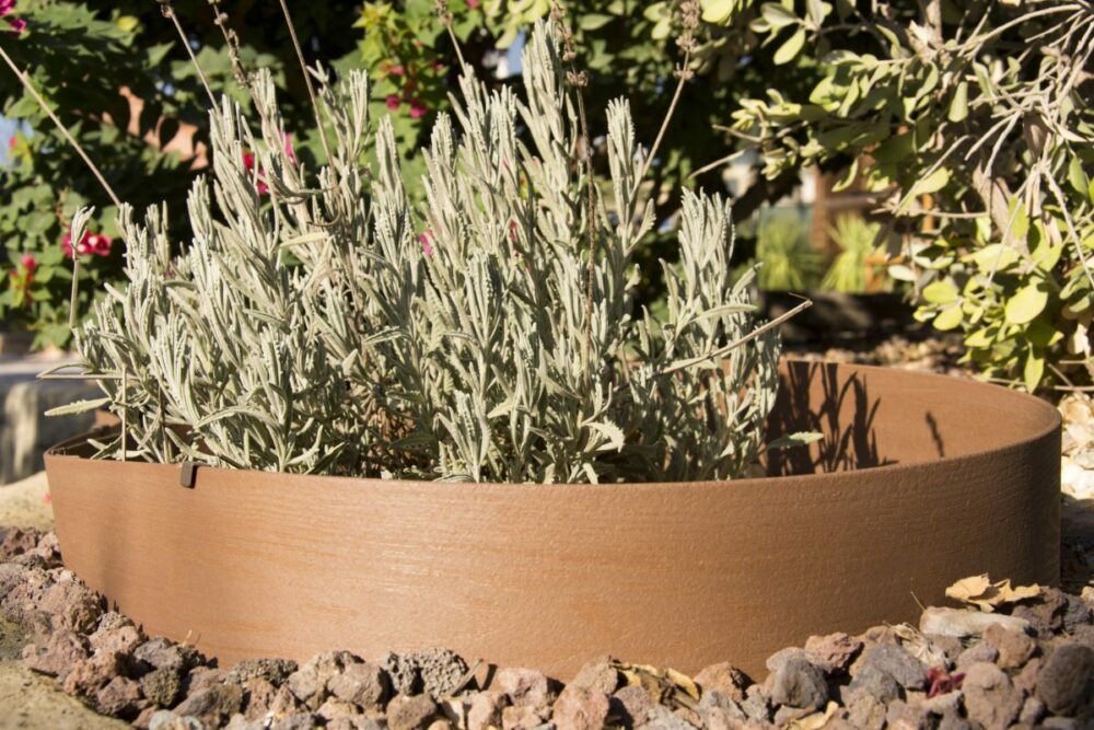 DSC_7348_BORDURA-COMPOSITE-scaled-e1697812173308.jpg DSC_7348_BORDURA-COMPOSITE-scaled-e1697812173308.jpg