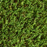 PARAISO-CEPED-ARTIFICIAL-CAÑIZO-FAURA-1