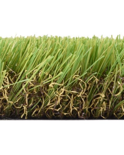 PARAISO-CEPED-ARTIFICIAL-CAÑIZO-FAURA-3