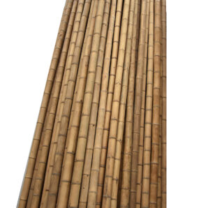 bambu-decorativo-1.jpg
