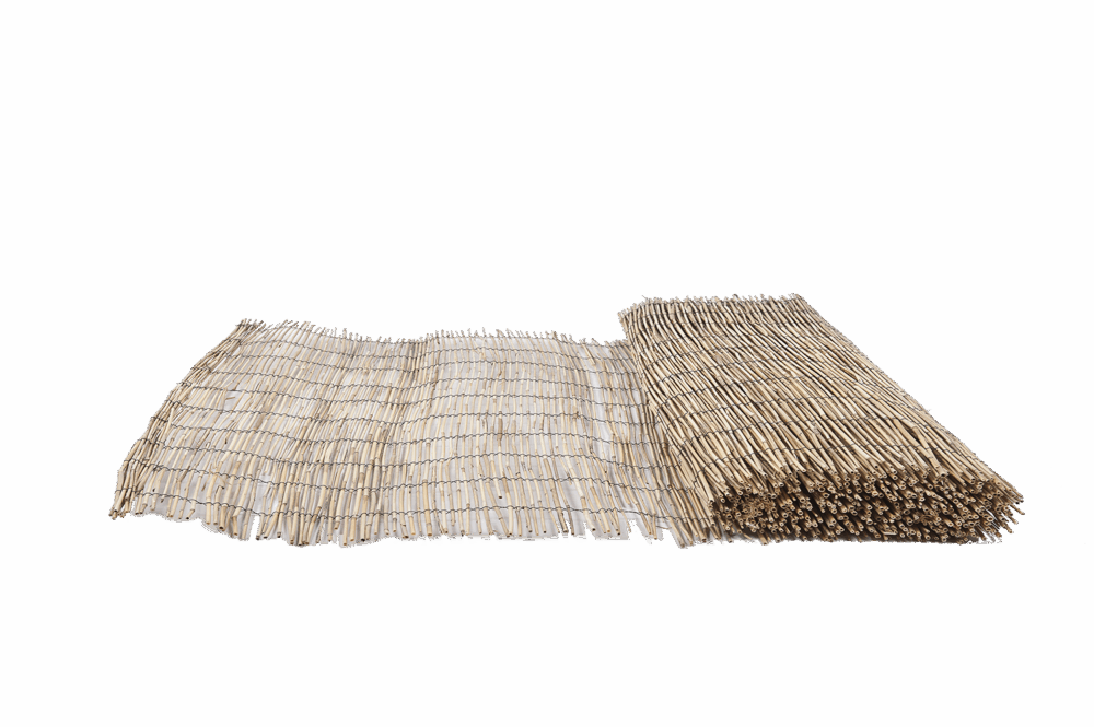 canizo-bambu-chino-extendido.png