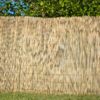 14001_14002_14003_BAMBÚ-FINO-PELADO-(1)