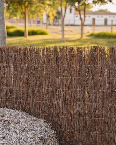 Ecolo 1 | Brezo Importación