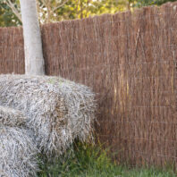 22011_22012_22013_ECOLO-2-EXTRA-1