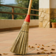 28011_ESCOBA_PALMA-1