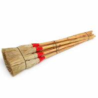 28011_ESCOBA_PALMA-2