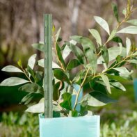 29550_29551_29552_29553_29554_29555_TUTORES-DE-ACERO-PLASTIFICADO-(3)