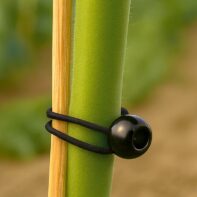 29920_29919_BOLA FIJACIÓN ELÁSTICA-1