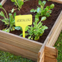 29940_BLISTER-ETIQUETA-PLANTAS-1