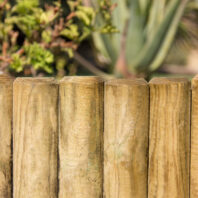 30021_30022_30023_BORDURA-VAMPIRO-FIJA-1