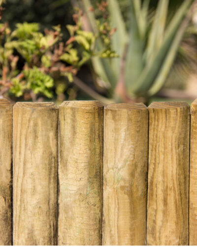 Bordura Vampiro Fija