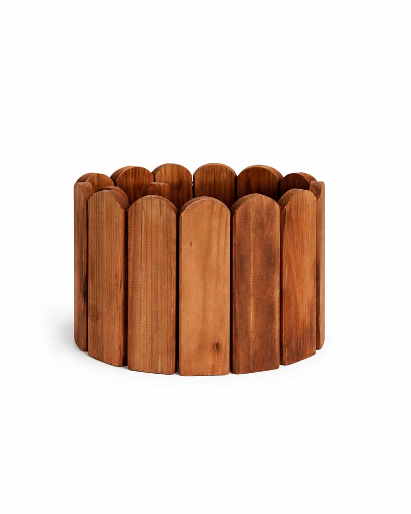 30031_30032_MINI BORDURA LISA TINTADA (1) 30031_30032_MINI BORDURA LISA TINTADA (1)