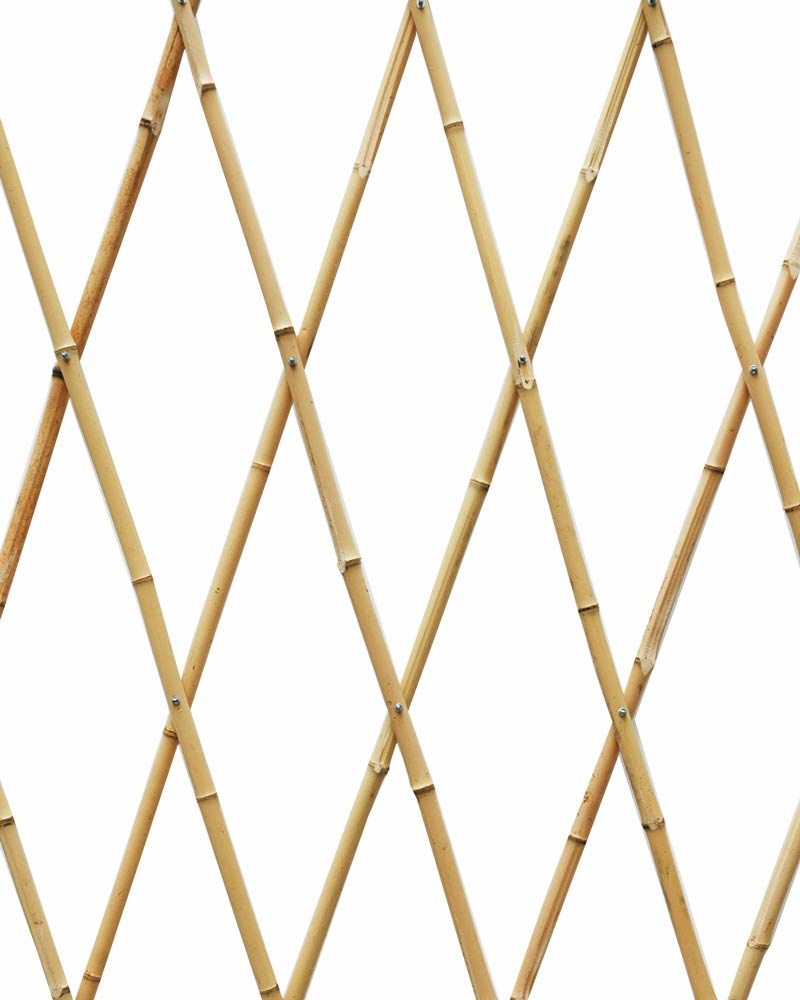 31001_31002_31003_CELOSÍA-DE-BAMBÚ-2 31001_31002_31003_CELOSÍA-DE-BAMBÚ-2