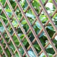 31101_31103_31104_31102_CELOSÍA-DE-MIMBRE-(2)