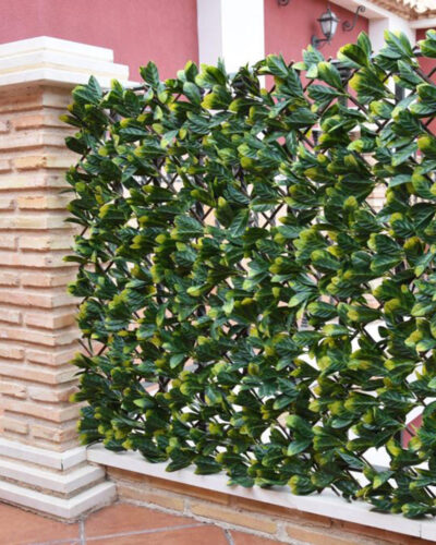 Celosía Mimbre Hoja Laurel